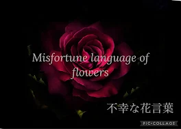 misfortune language of flowers  〜不幸な花言葉〜