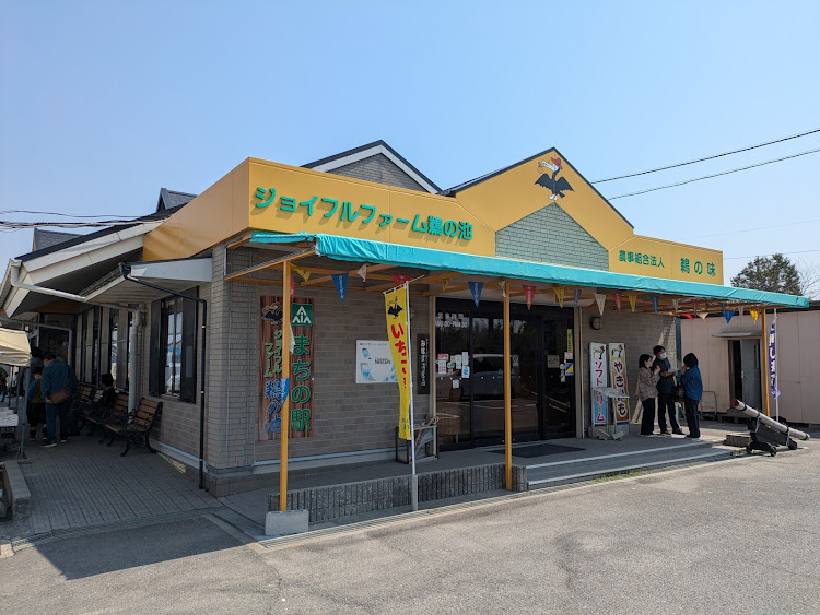 パサートヴァリアントの春の風物詩と愛車・豊浜さかな広場・聖崎公園・つぶて浦・クラッシックカーの集いに関するカスタム事例の投稿画像4枚目