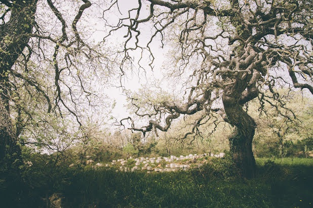 Bryllupsfotograf Christos Tsoumplekas (tsoumplekas). Bilde av 12 juni 2015