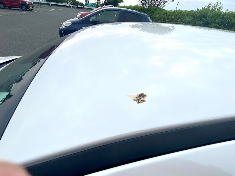 レガシィツーリングワゴンのBR9車高調・ティーディメンド・BR9レガシィツーリングワゴン・DIY・クリスタルアイに関するカスタム事例の投稿画像2枚目