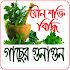 যৌন শক্তি বৃদ্ধি গাছের গুনাগুন1.6