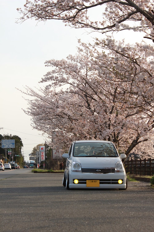 の投稿画像1枚目