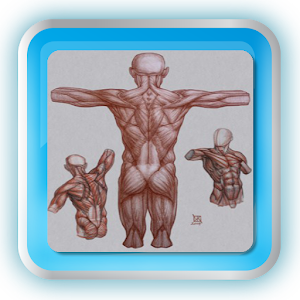 Download Learn To Draw Human Body For PC Windows and Mac