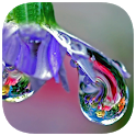 648 Words icon