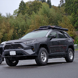 RAV4 MXAA54