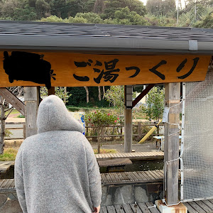 ヴェルファイア 30系