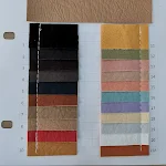 Color7