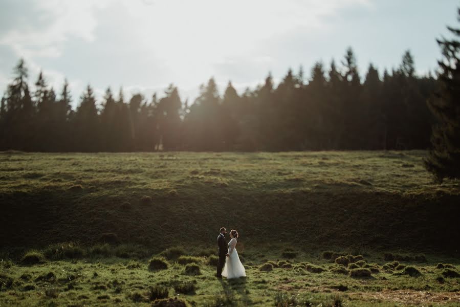 Fotógrafo de casamento Anita Jambor (vellum). Foto de 24 de novembro 2018