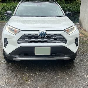 RAV4 MXAA54