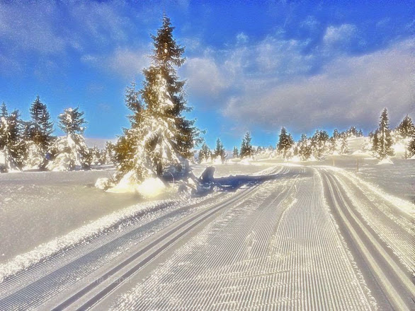 Photo: Ski track, Hornsjo