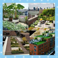 Best Rooftop Gardens Models