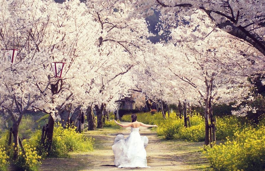 Fotografo di matrimoni Svetlana Soloveva (gaididei). Foto del 24 dicembre 2012