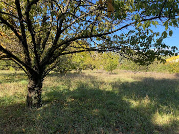 terrain à Pignans (83)