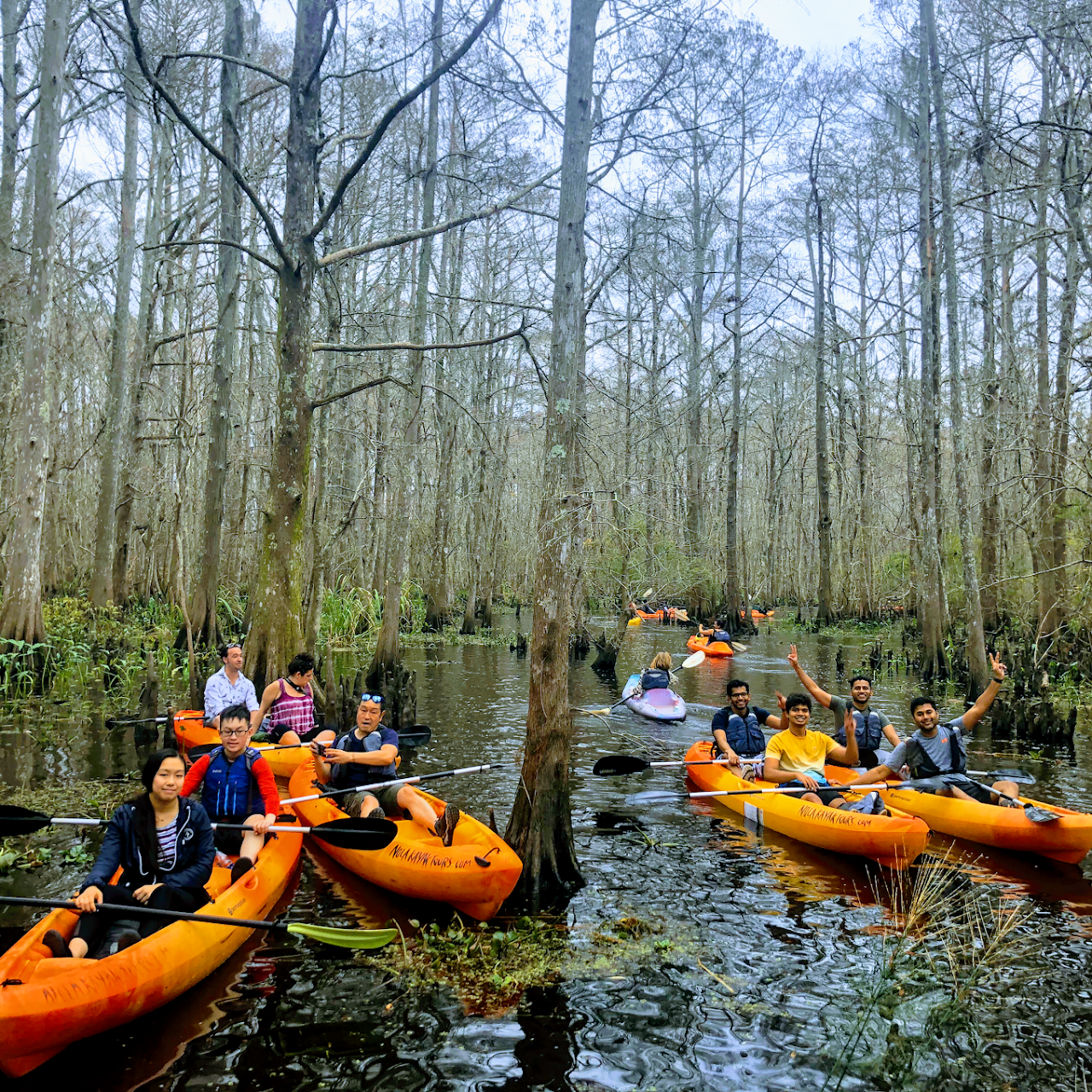 plantation tour swamp