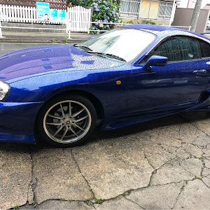 スープラ