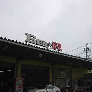 エリシオン RR3