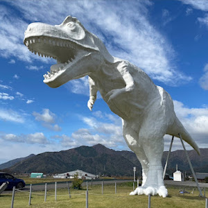 ゴルフ R
