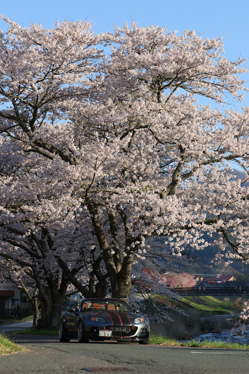 の投稿画像7枚目