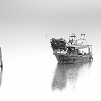 Valli di Comacchio di 