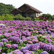 3口四方咖啡館(財福海竽田)