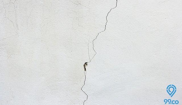 15 Cara Membasmi Rayap Di Rumah Terampuh Yang Bisa Dicoba