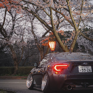 BRZ ZC6