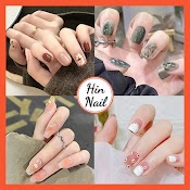 Móng Tay Giả Hin Nail Hộp Nail Box 24 Móng Kèm Keo