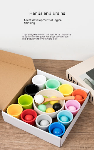 Title 5, Wooden Childrens Educational Color Classificat...
