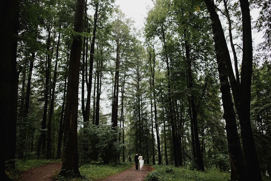 Photographe de mariage Darya Elfutina (elfutina). Photo du 25 décembre 2018