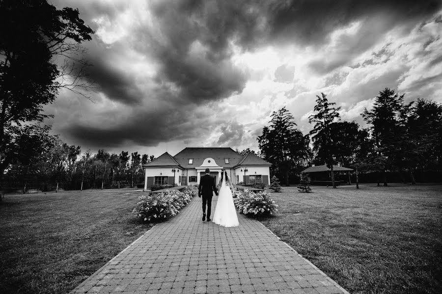 Photographe de mariage Gábor Badics (badics). Photo du 18 août 2022