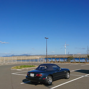 ロードスター NA8C