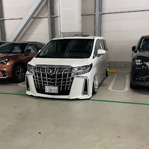 アルファードの30アルファード・車高調整・j-line・延長