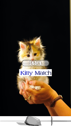 Kitty Cat Match Free