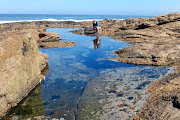 Lionel Williams is fascinated by the abundance of sea life in the crystalline rock pools.