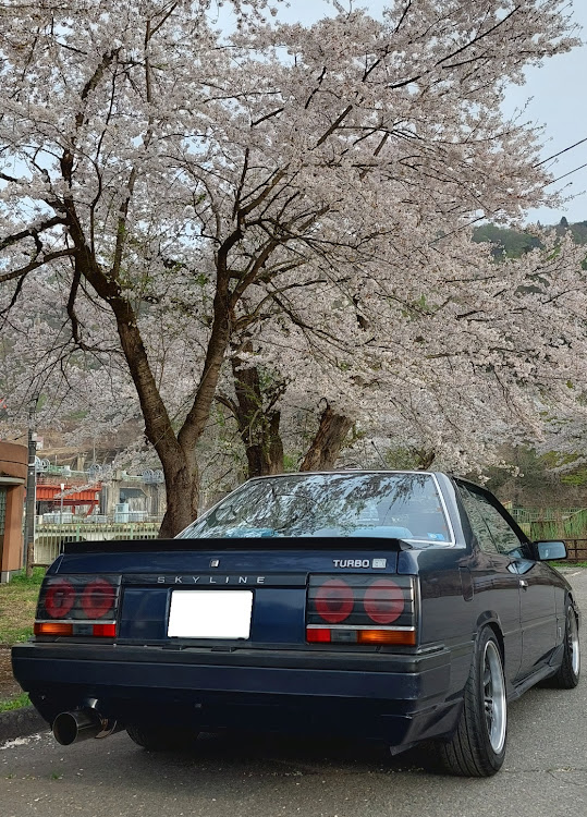 スカイラインのドライブ・遅い桜コラボ・西大滝・もう夏日・もうすぐMウェーブに関するカスタム事例の投稿画像2枚目