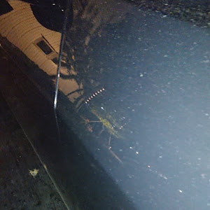 チャレンジャー