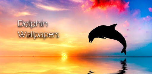 Dolphin Wallpapers