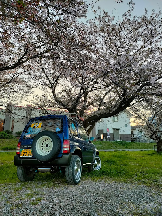 パジェロミニのパジェロミニとお散歩・桜に関するカスタム事例の投稿画像3枚目