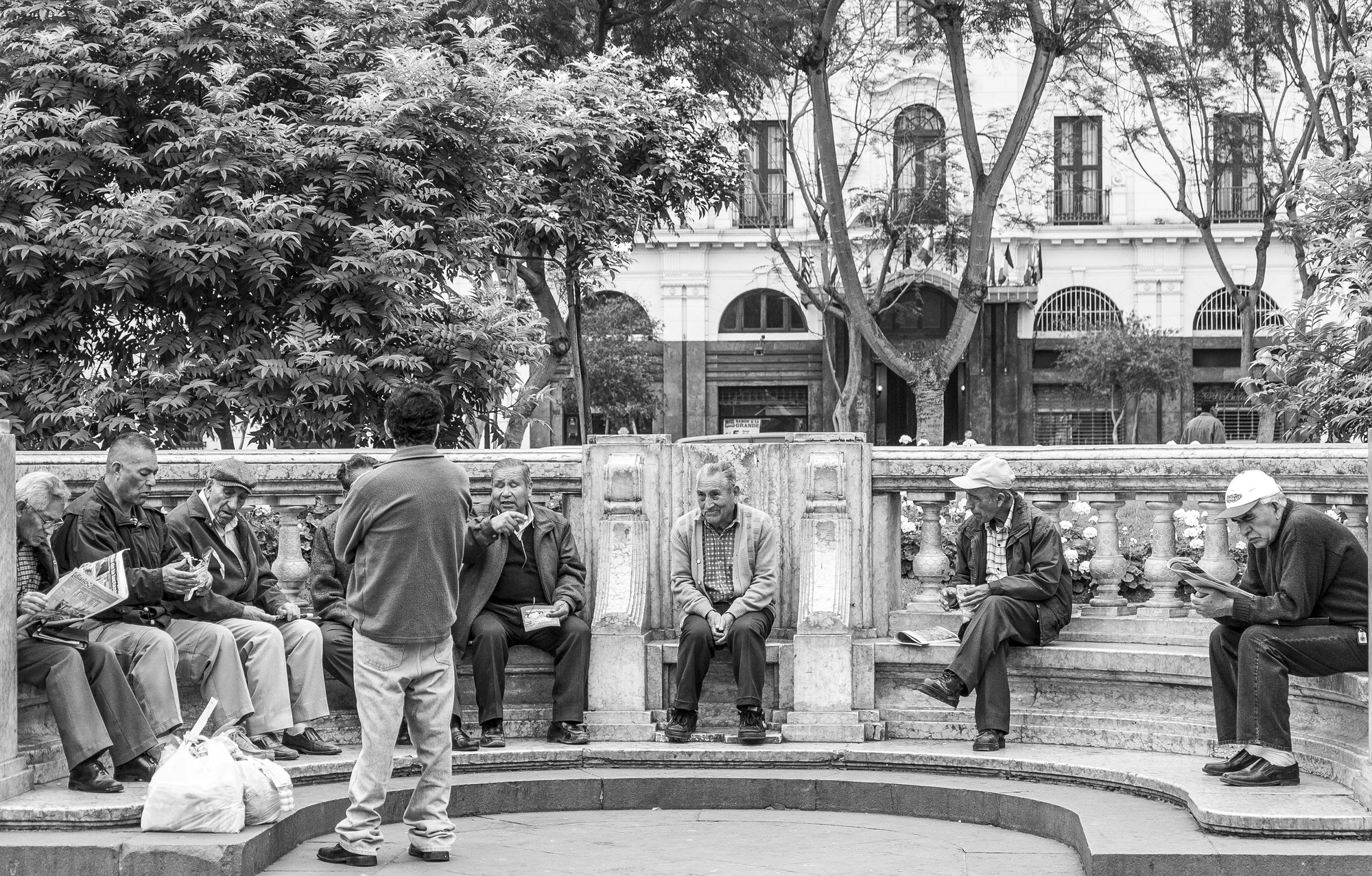 Il giornale della domenica in piazza di Viola1