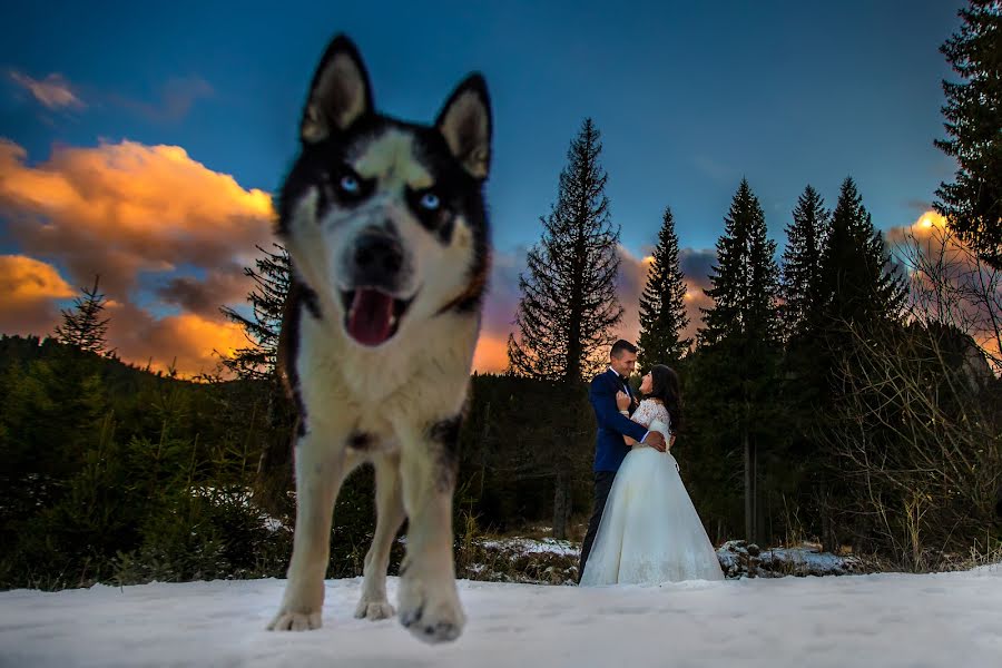 Svadobný fotograf Daniel Dumbrava (dumbrava). Fotografia publikovaná 29. marca 2017