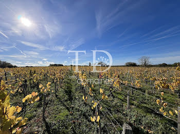 terrain à Châteaumeillant (18)