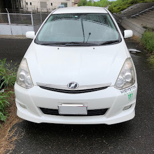 ウィッシュ ANE10G