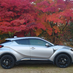 C-HR NGX50