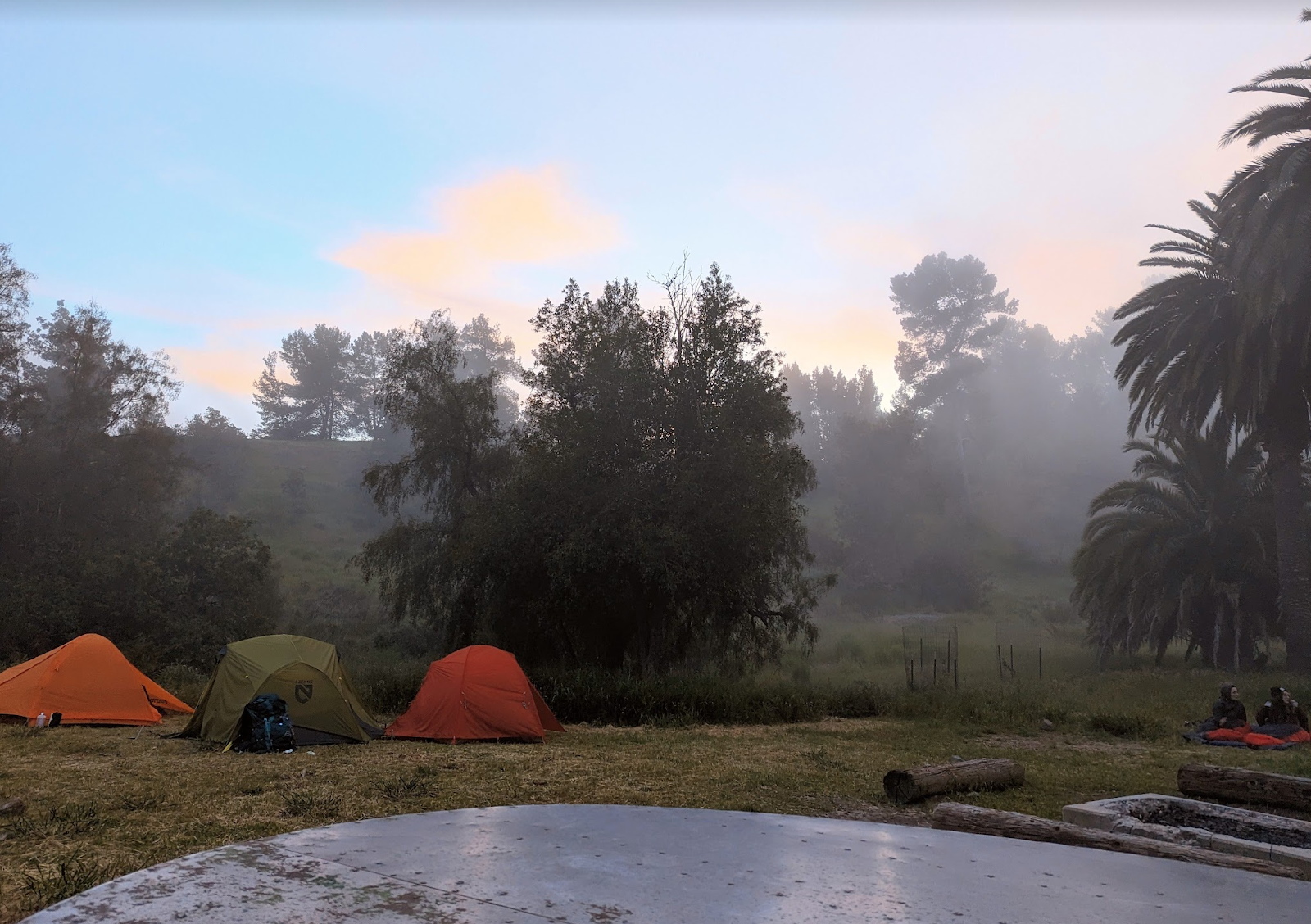 A group of tents in a forest

Description automatically generated with low confidence