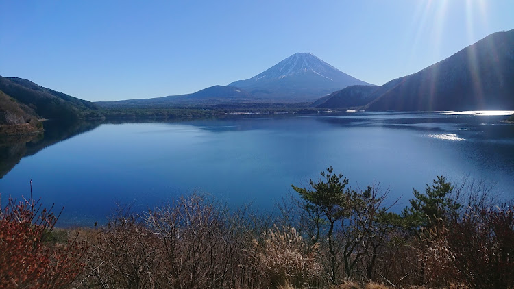 の投稿画像4枚目