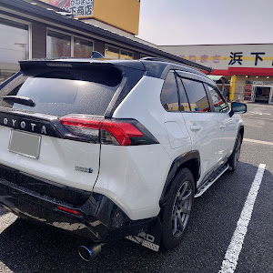 RAV4 AXAP54