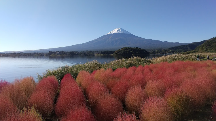 の投稿画像1枚目