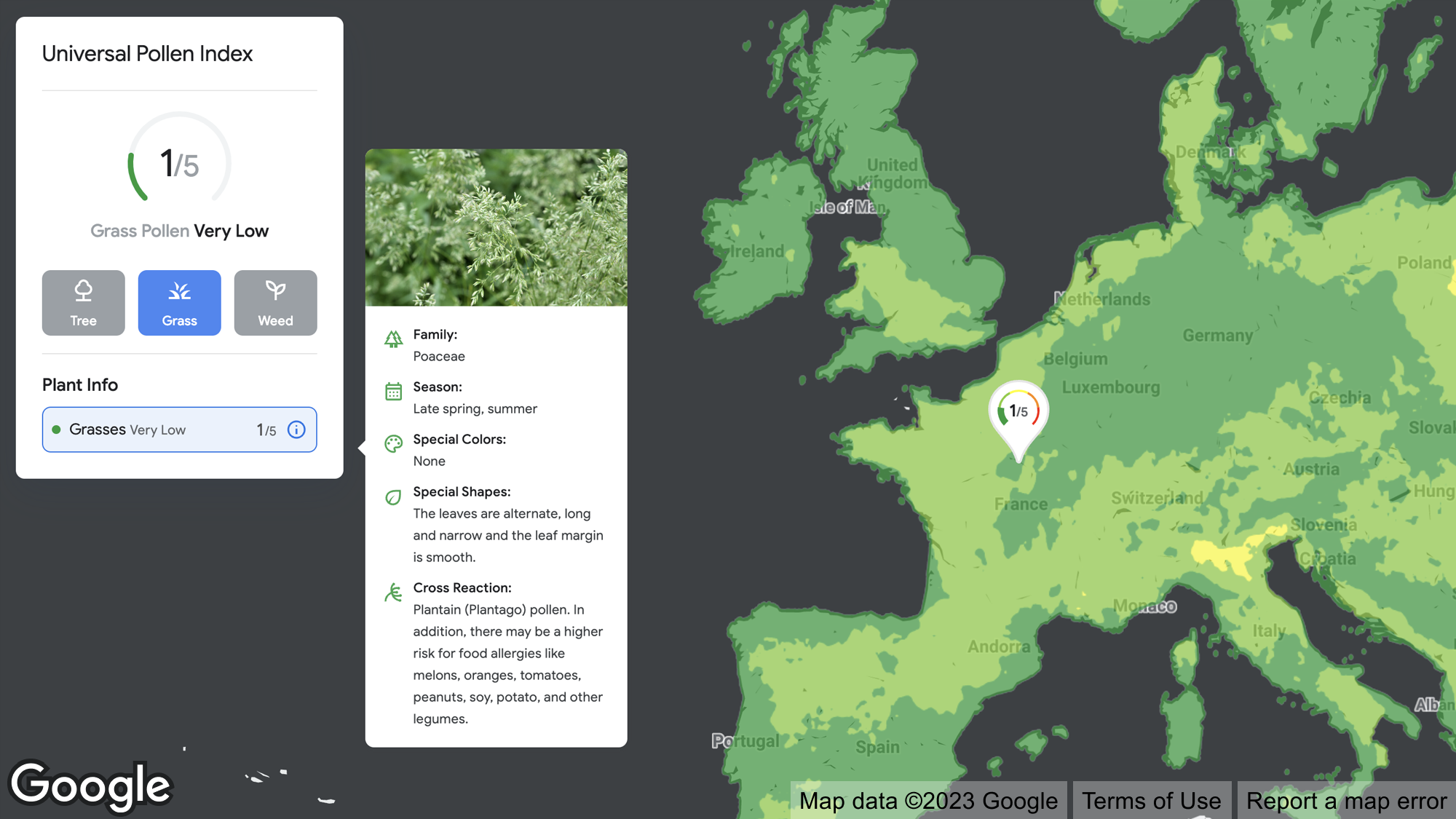 Pollen API visual