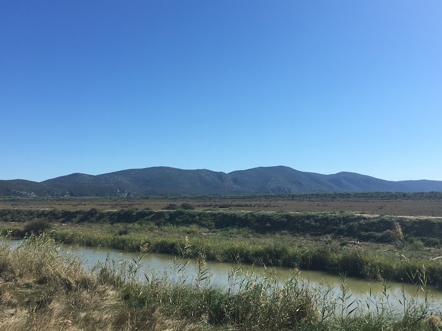 Parco naturale della Maremma, Traccie della Salina di San Paolo, in fondo Monti dell'Uccellina