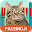 Cat Word Sticker with lovely style for Messenger Download on Windows